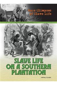 Slave Life on a Southern Plantation
