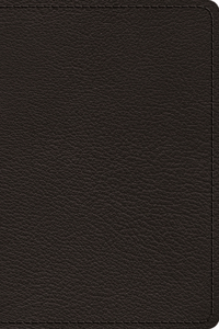 ESV Preaching Bible, Verse-by-Verse Edition