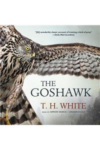 Goshawk