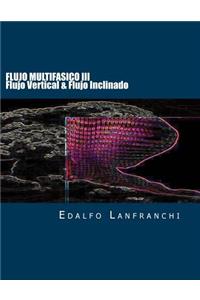 Flujo Multifasico III