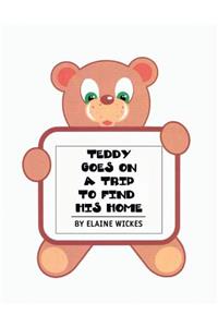Teddy Goes on a Trip to Find His Home