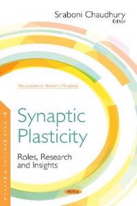 Synaptic Plasticity