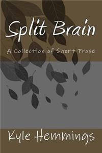 Split Brain