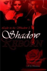 Light in the Shadow 3