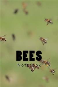 Bees