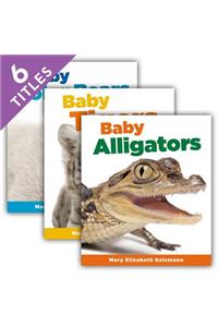 Baby Animals Set 2 (Set)
