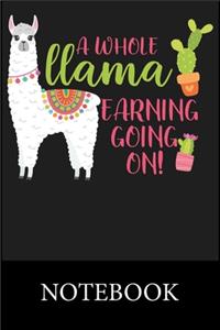 A Whole Llama Learning Going On! Notebook