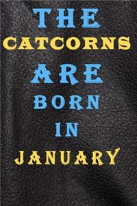 The Catcorns Are Born in January