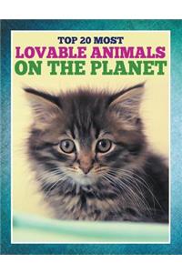 Top 20 Most Lovable Animals On The Planet