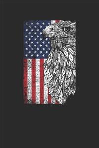 Eagle USA Flag