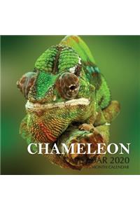 Chameleon Calendar 2020