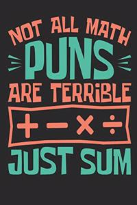 Not All Math Puns Are Terrible Just Sum