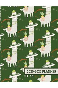 2020-2022 Planner