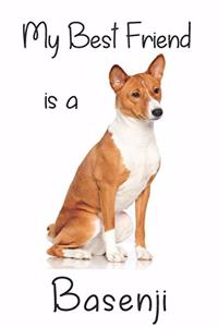 My best Friend is a Basenji