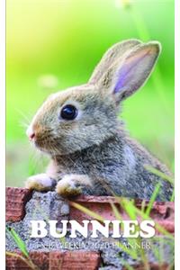 Bunnies 5 x 8 Weekly 2020 Planner