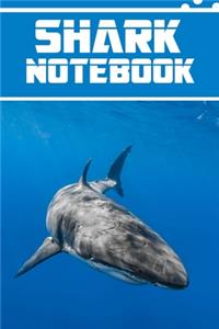 shark notebook