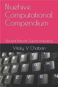 Bluehive Computational Compendium