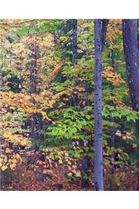 School Composition Book Autumn Foliage Fall Forest 130 Pages