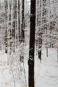 2019 Weekly Planner Winter Season Forest 134 Pages