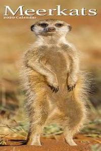 Meerkats Slim Calendar 2020