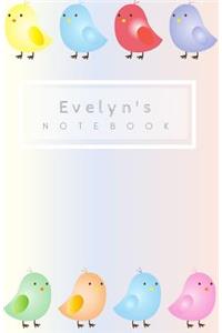 Evelyn's Notebook