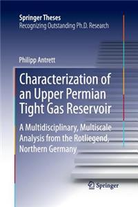 Characterization of an Upper Permian Tight Gas Reservoir