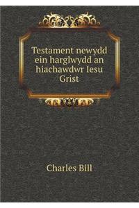 Testament newydd ein harglwydd an hiachawdwr Iesu Grist