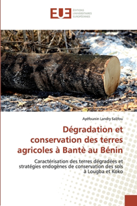 Dégradation et conservation des terres agricoles à Bantè au Bénin