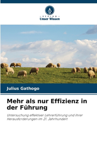 Mehr als nur Effizienz in der Führung