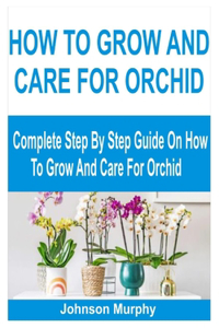 How to Grow and Care for Orchid