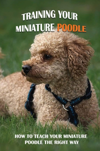 Training Your Miniature Poodle