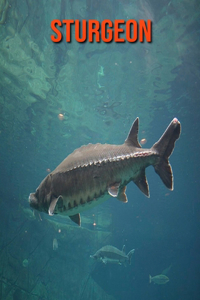 Sturgeon