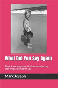 What Did You Say Again