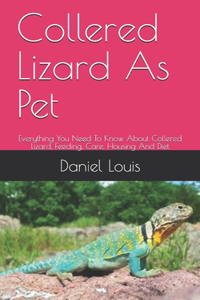 Collered Lizard As Pet