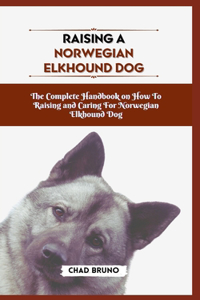 Norwegian Elkhound Dog