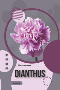 Dianthus