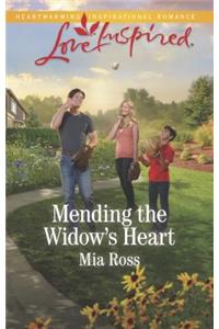 Mending the Widow's Heart