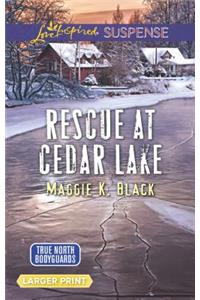 Rescue at Cedar Lake