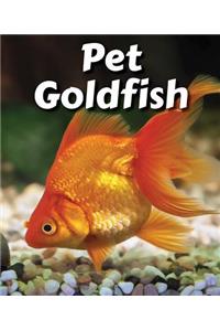 Pet Goldfish