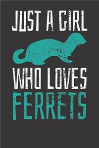 Ferret Notebook