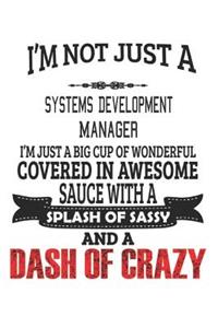 I'm Not Just A Systems Development Manager