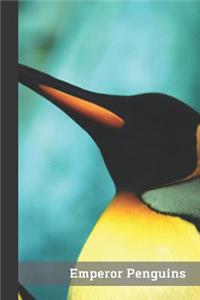 Emperor Penguins