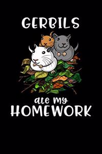 Gerbils Ate My Homework