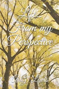 Life.. From my Perspective