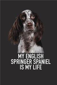 My English Springer Spaniel Is My Life