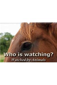 Who is Watching? - Watched by Animals! 2017