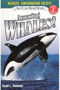 Amazing Whales!