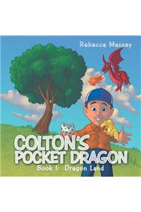 Colton's Pocket Dragon: Book 1: Dragon Land
