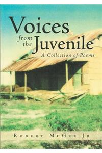 Voices from the Juvenile