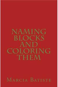 Naming Blocks and Coloring Them